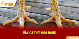 Vảy gà Thới Hoa Đăng